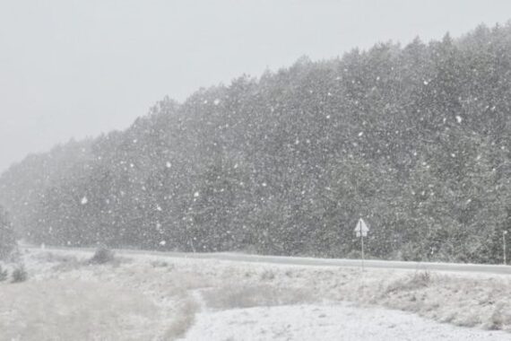 Zabijelila se Učka, pahulje i na Žminjštini