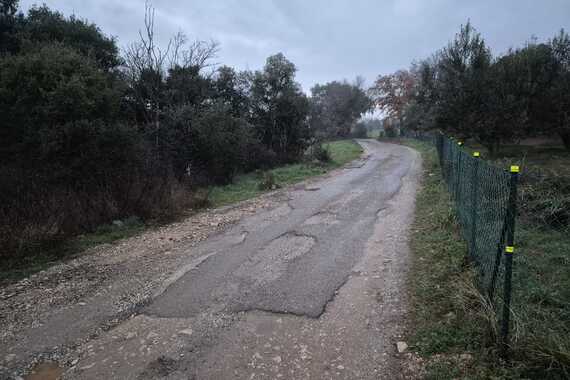 'Dobili smo pulsku favelu. Skupim i brzim automobilima obijesno voze i ugrožavaju sigurnost svih u naselju, naročito djece'