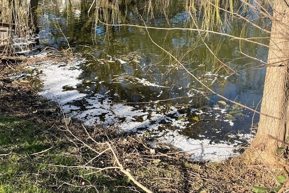 Ekocid na Medulinskoj lokvi! Općinari reagirali brzo, a zna se i tko je krivac. O tom smo poduzetniku već pisali...