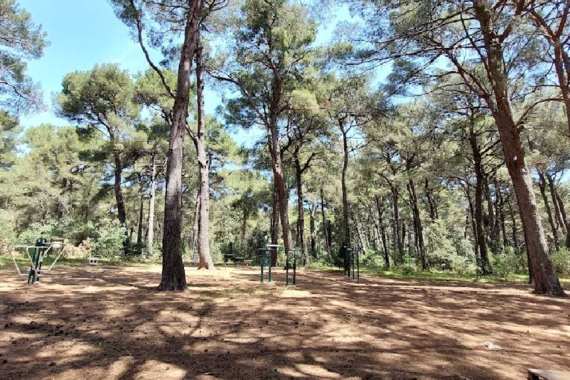 Muškarac teško ozlijeđen na proslavi u Busolerskoj šumi