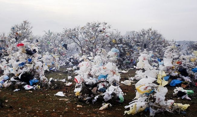 Plastične vrećice ukrasile prirodu nedaleko Kaštijuna